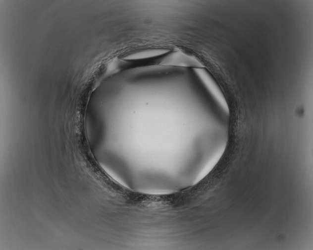 X0000116660689200912291638