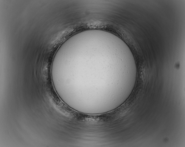 X0000116660690200912291638