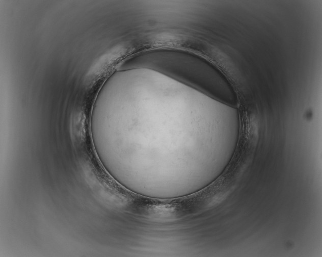 X0000116660692200912291638