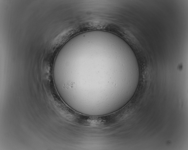 X0000116660693200912291638