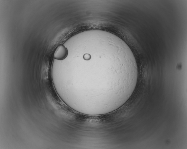 X0000116660694200912291638