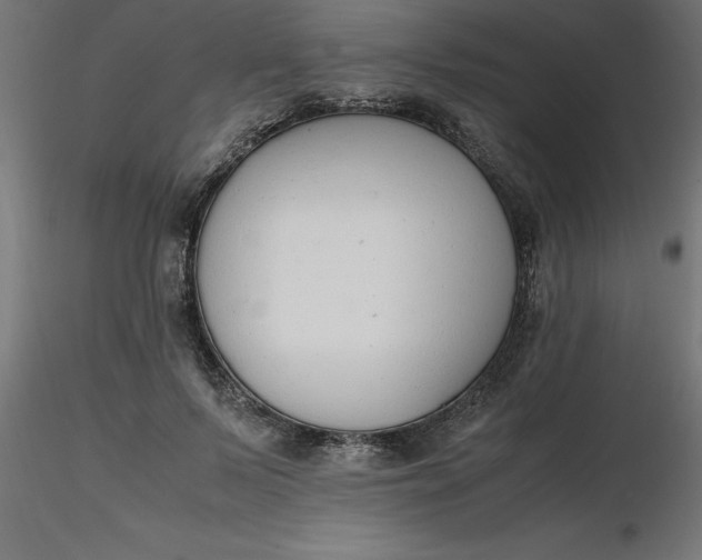 X0000116660695200912291638