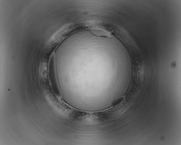 X0000116660696200912291638