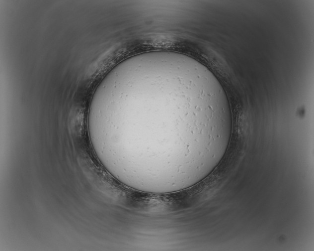 X0000116660697200912291637