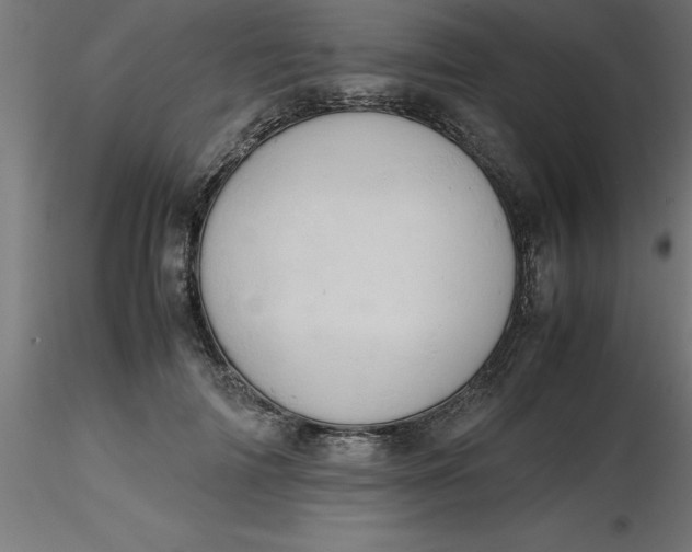 X0000116660698200912291637