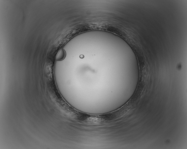 X0000116660699200912291637