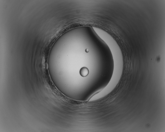 X0000116660700200912291637