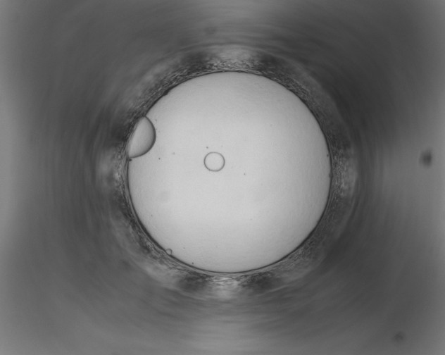 X0000116660701200912291637