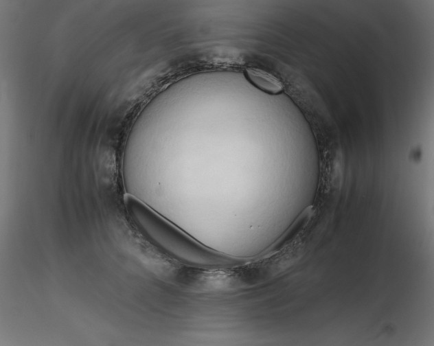 X0000116660704200912291637