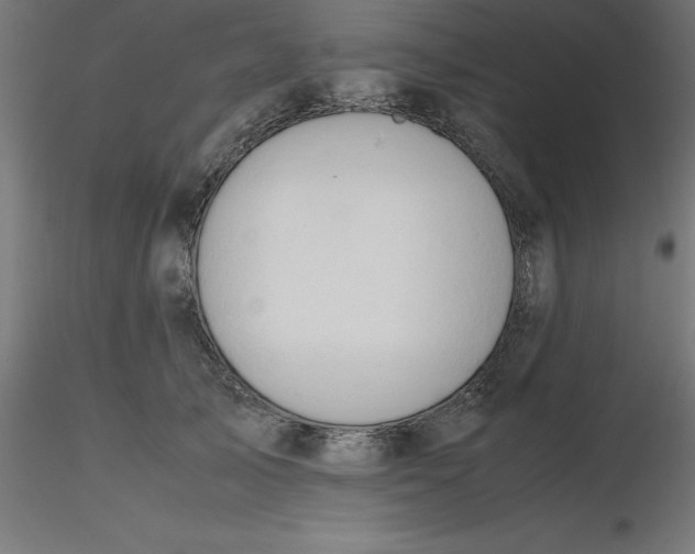 X0000116660705200912291637