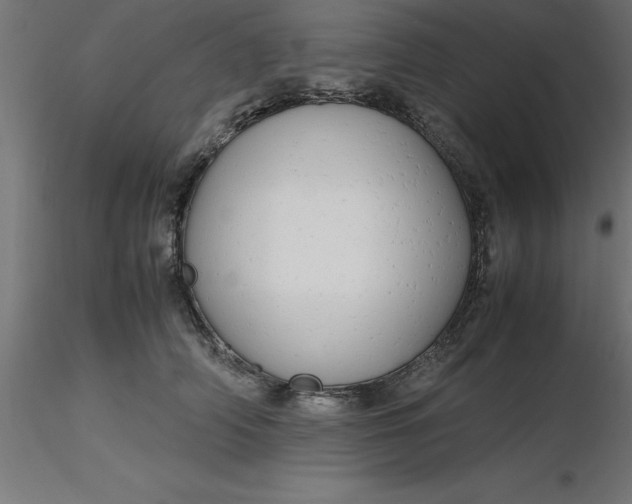 X0000116660706200912291637