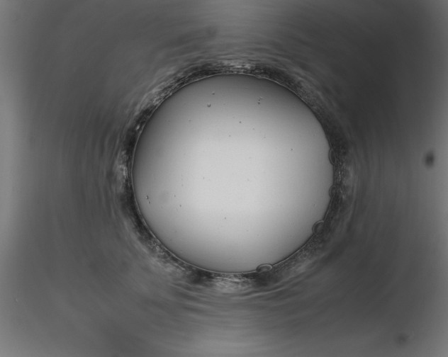 X0000116660707200912291637