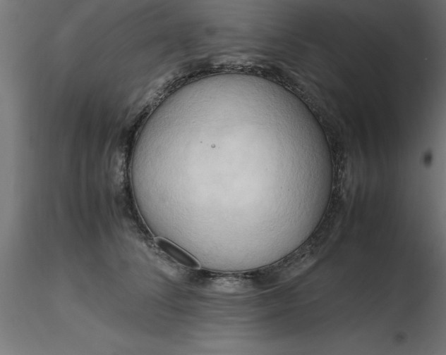 X0000116660708200912291637