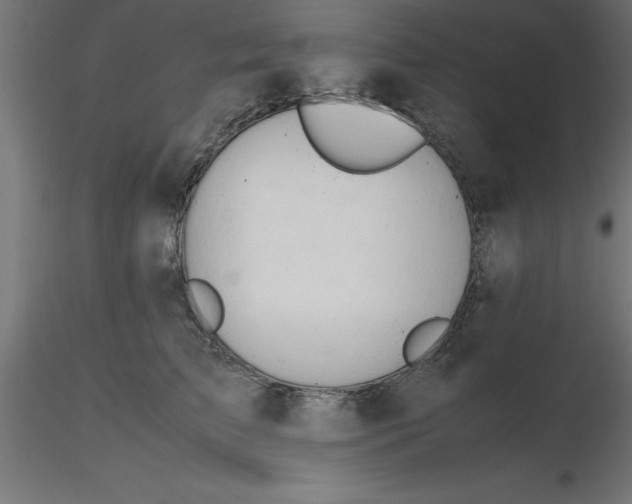 X0000116660709200912291637