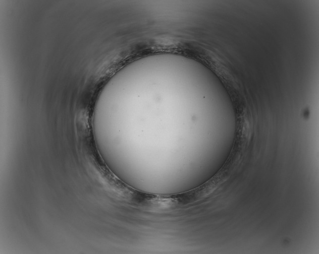 X0000116660711200912291637