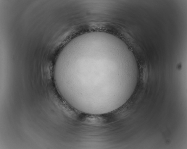 X0000116660712200912291637