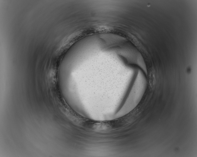 X0000116660714200912291637