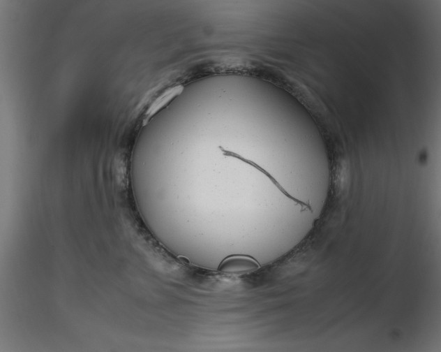 X0000116660715200912291637