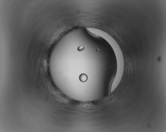 X0000116660716200912291637