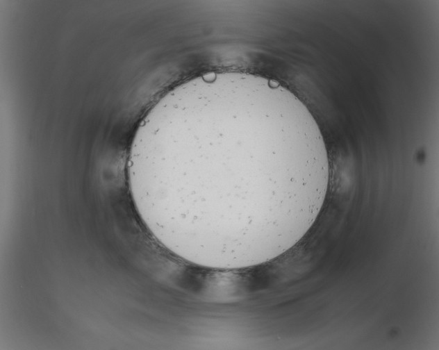 X0000116660717200912291637