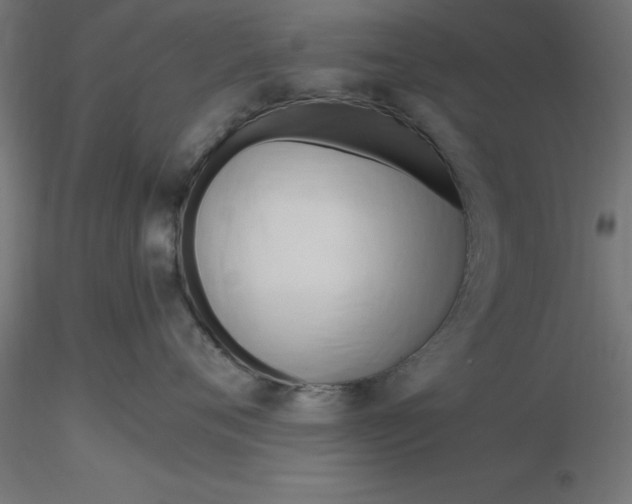 X0000116660720200912291637