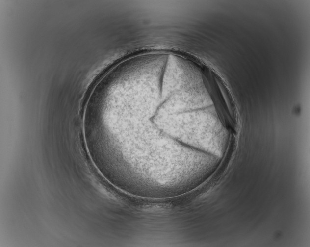 X0000116660721200912291637