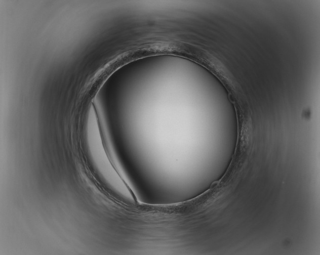 X0000116660722200912291637