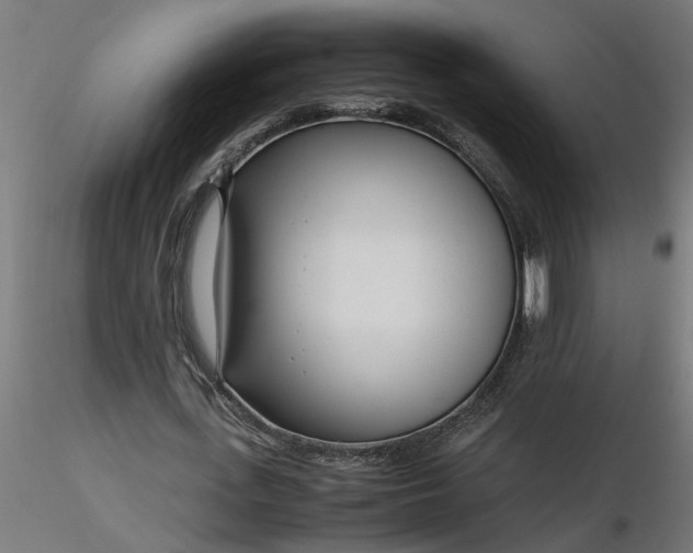 X0000116660723200912291637