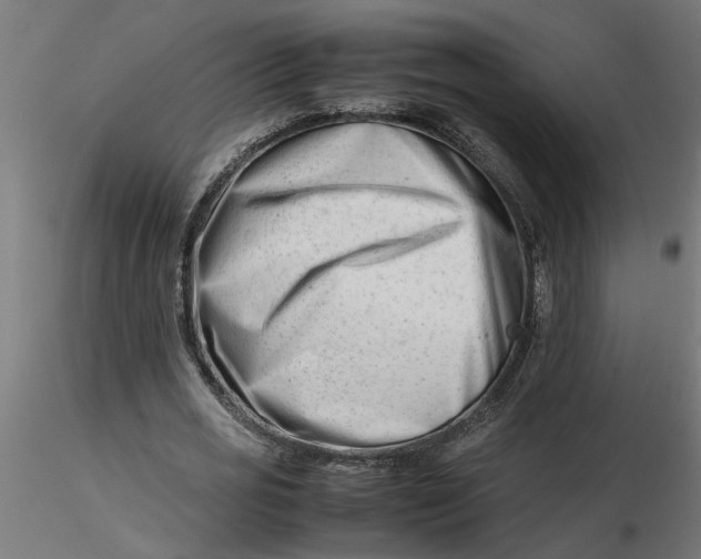 X0000116660725200912291637