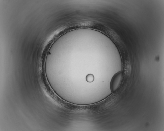 X0000116660726200912291637