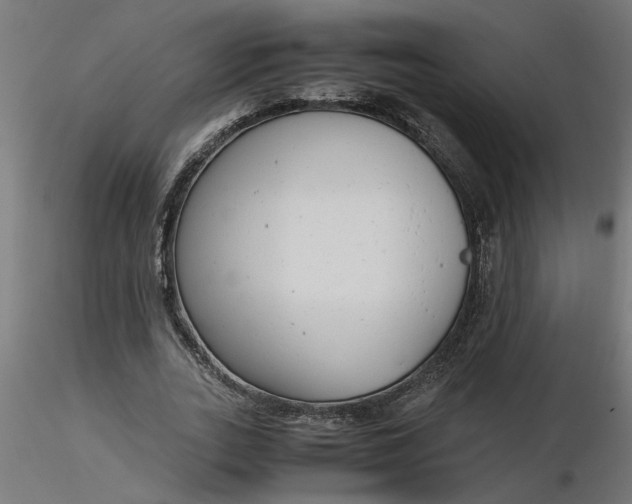 X0000116660727200912291637