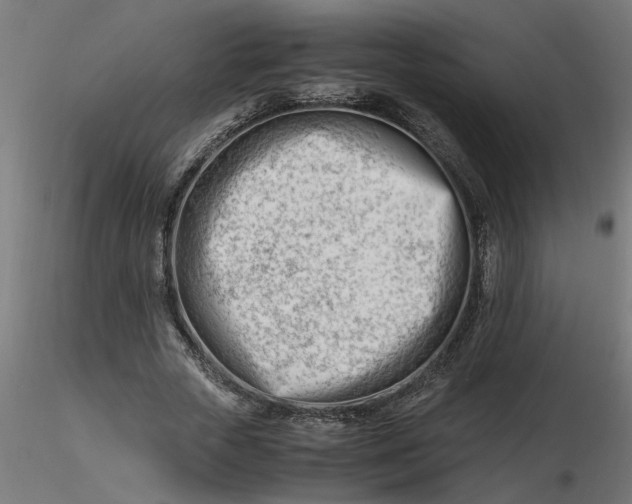 X0000116660729200912291637