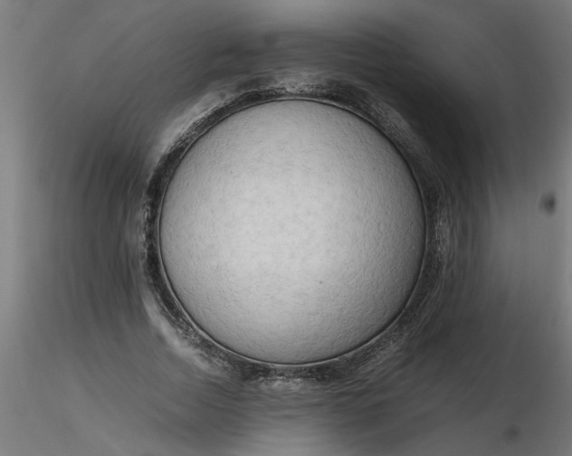 X0000116660730200912291637