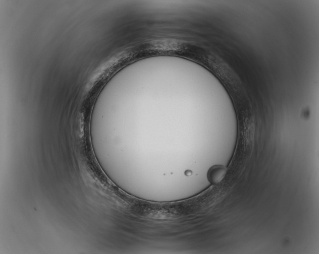 X0000116660731200912291637