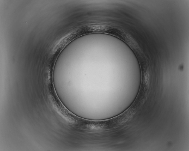 X0000116660733200912291637