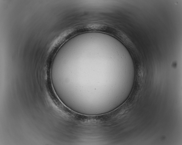 X0000116660734200912291637