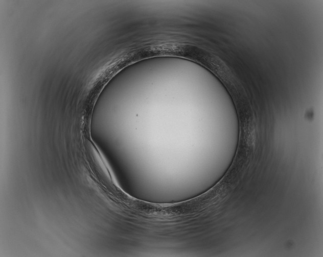 X0000116660735200912291637