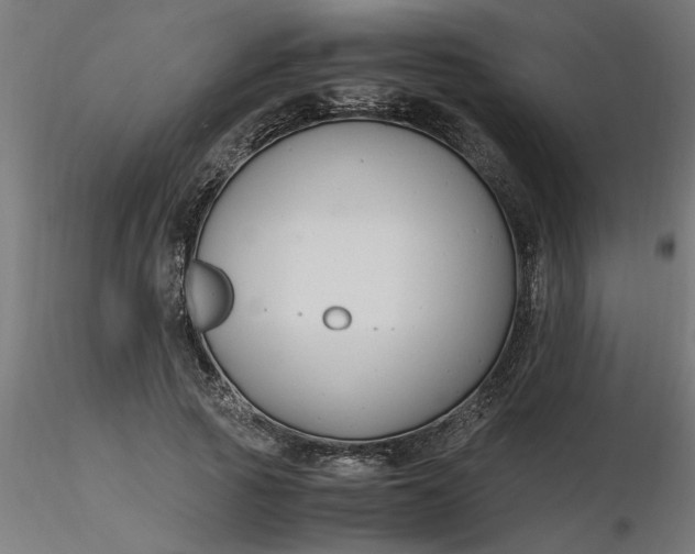 X0000116660737200912291637