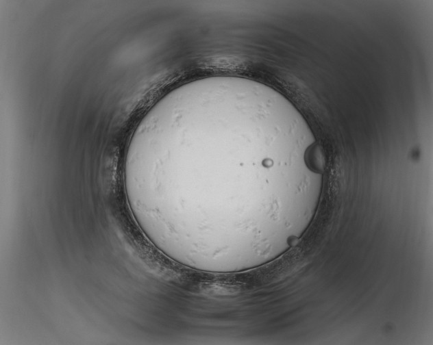 X0000116660739200912291637