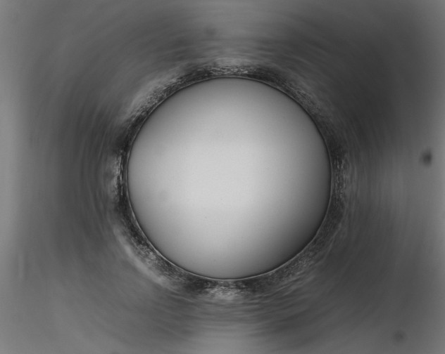 X0000116660742200912291637