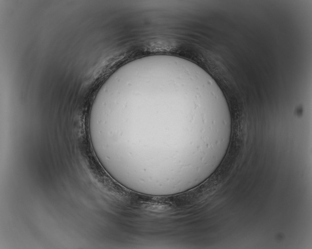 X0000116660743200912291637