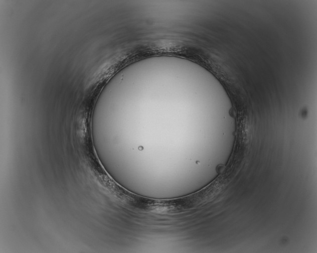 X0000116660746200912291637