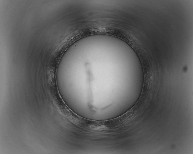 X0000116660747200912291637