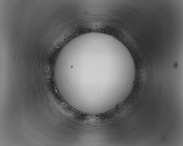 X0000116660750200912291637