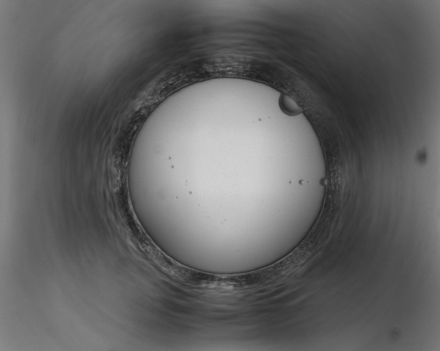 X0000116660751200912291637