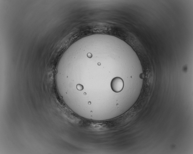 X0000116660753200912291637