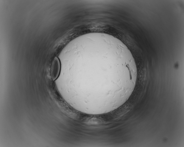 X0000116660755200912291637