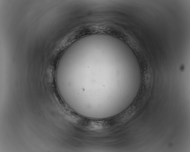 X0000116660757200912291637