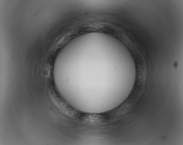 X0000116660758200912291637