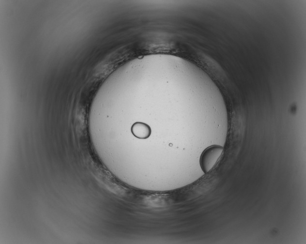 X0000116660761200912291637